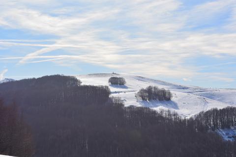 Crociglia